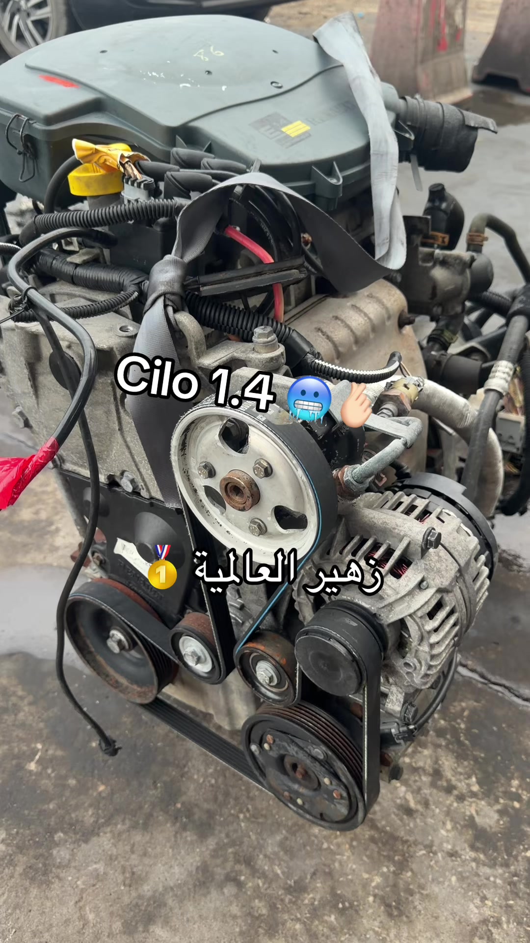 @Zouhair gmiza العالمية
