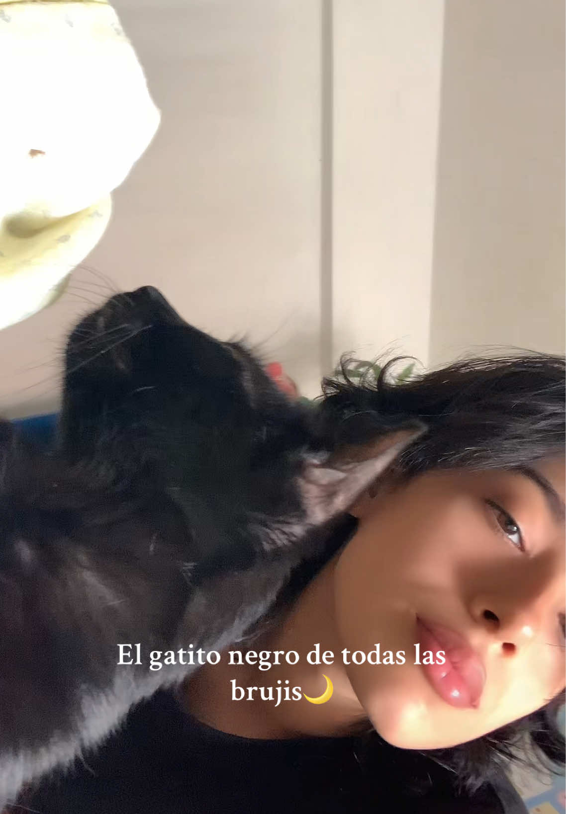 @Raven_🌙