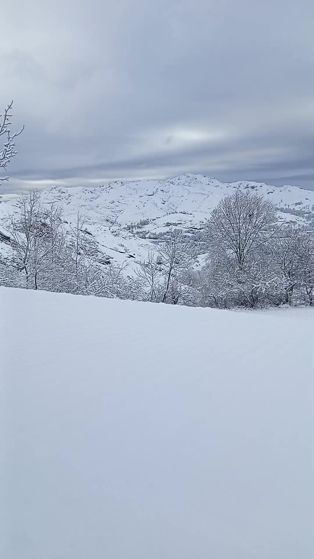 @mamed ceferli