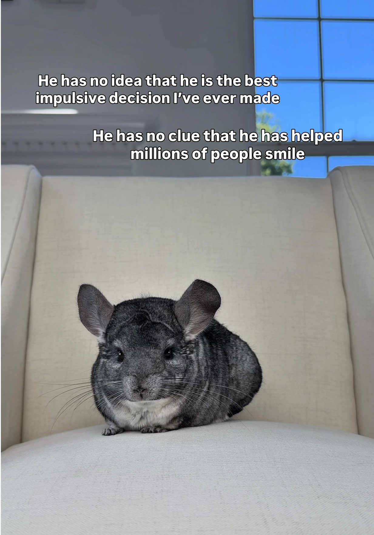 @Phil E. Chinchilla