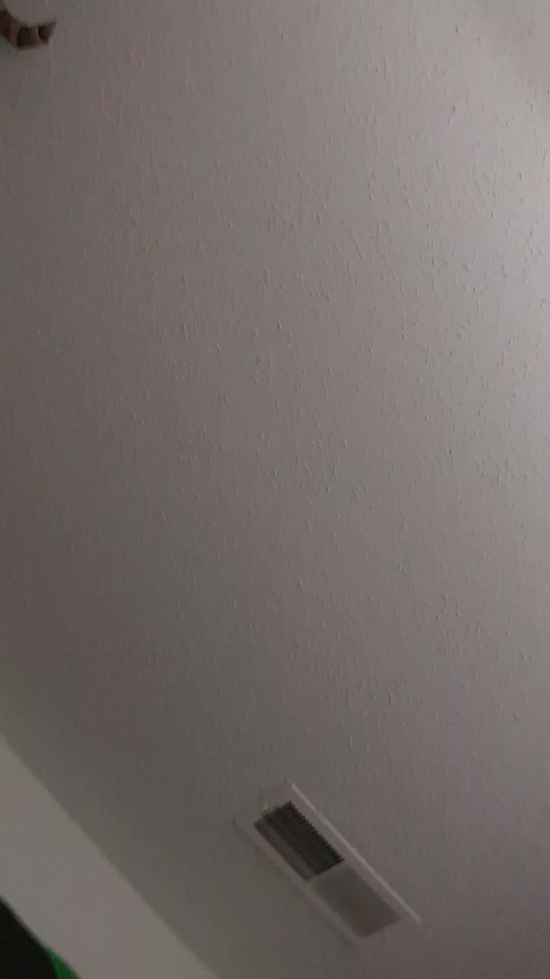 @LDragonArt