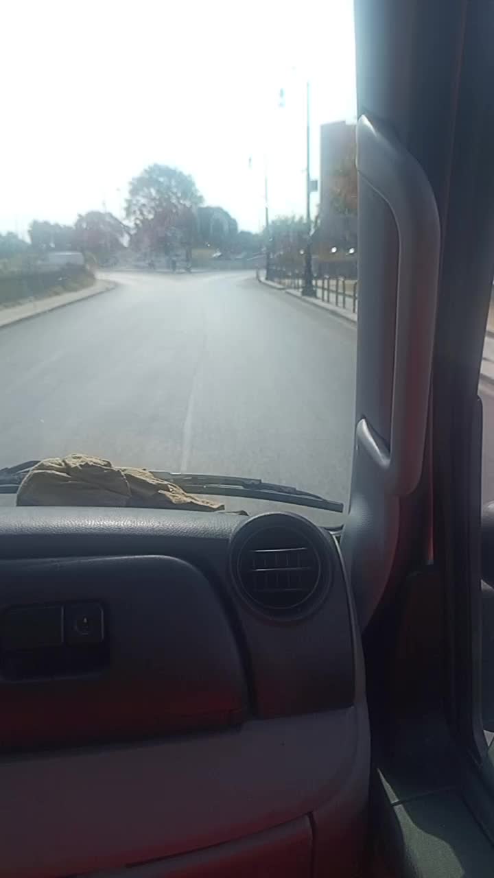 @paluzzu