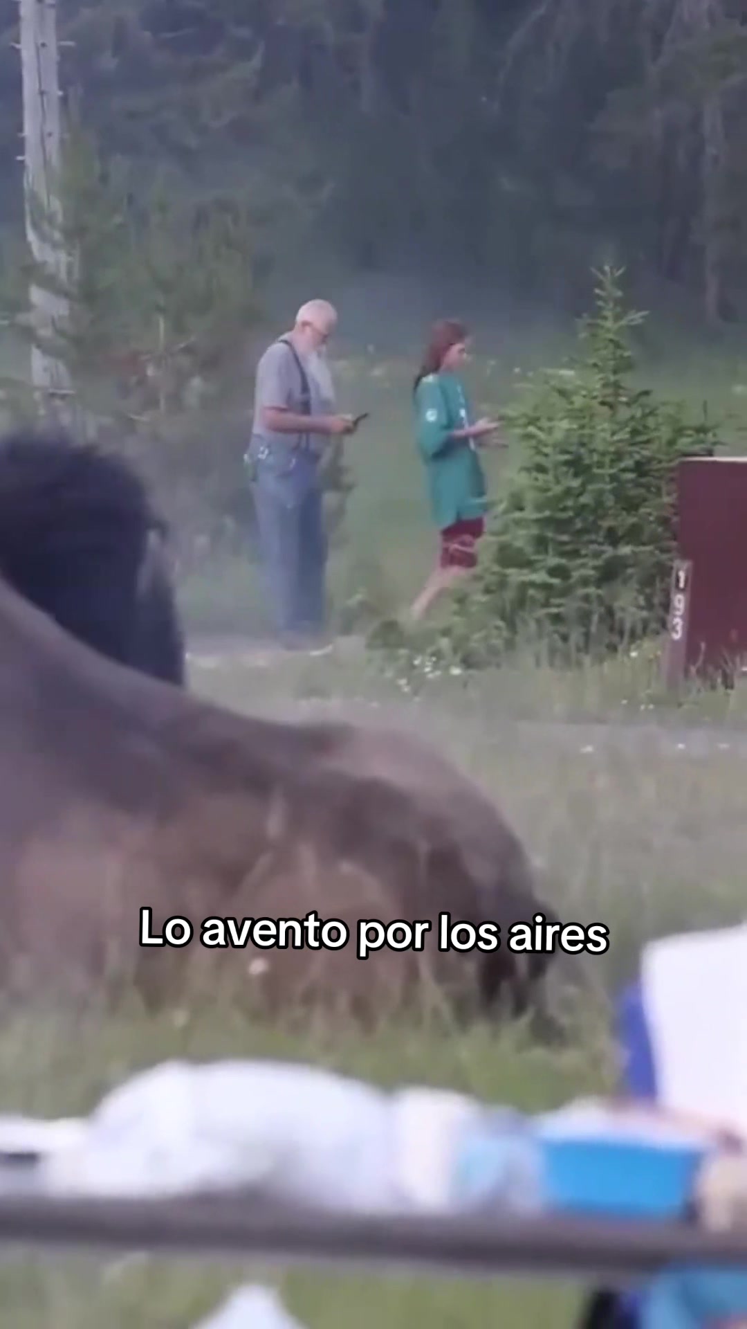 @Reporte-ando
