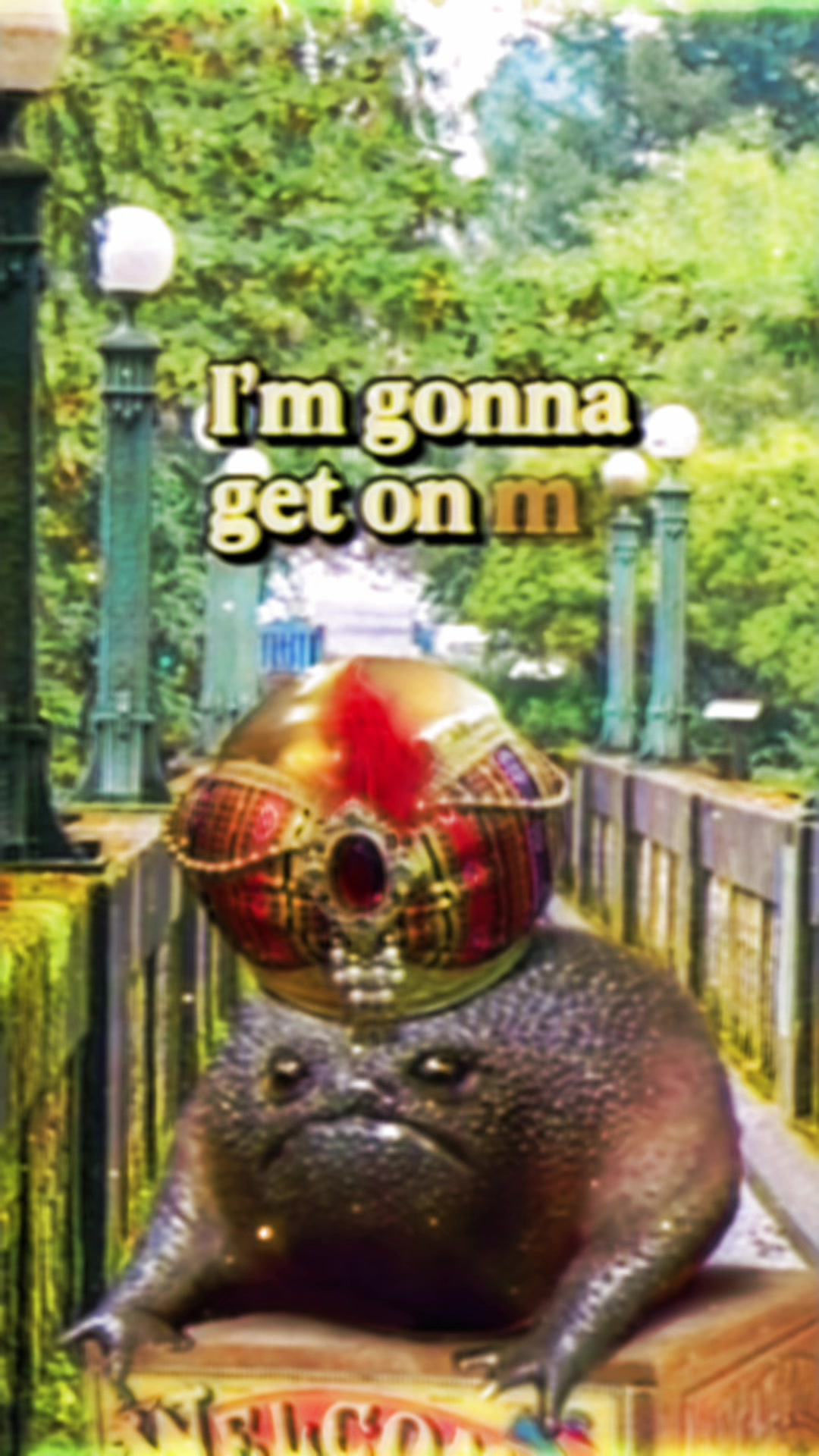 @Holy Frog Father