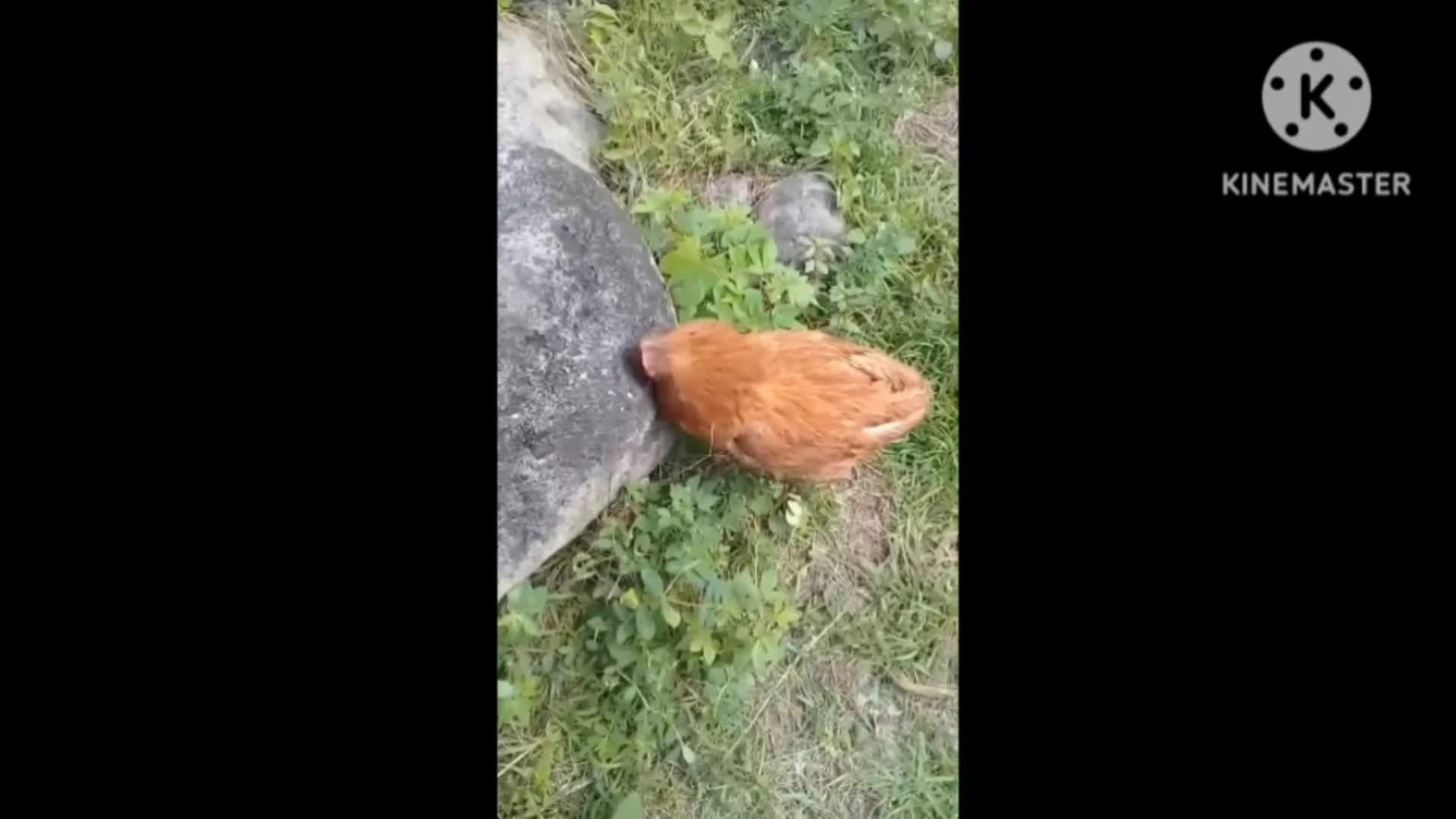@User4959