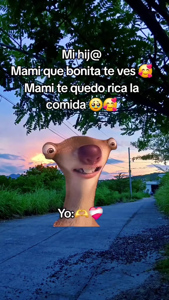 @Flor de María✨️