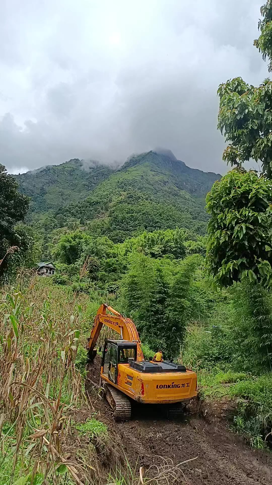 @अर्जुन लिम्बु vlog 🇳🇵