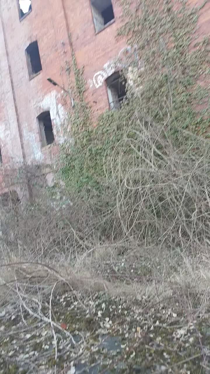@Australia93