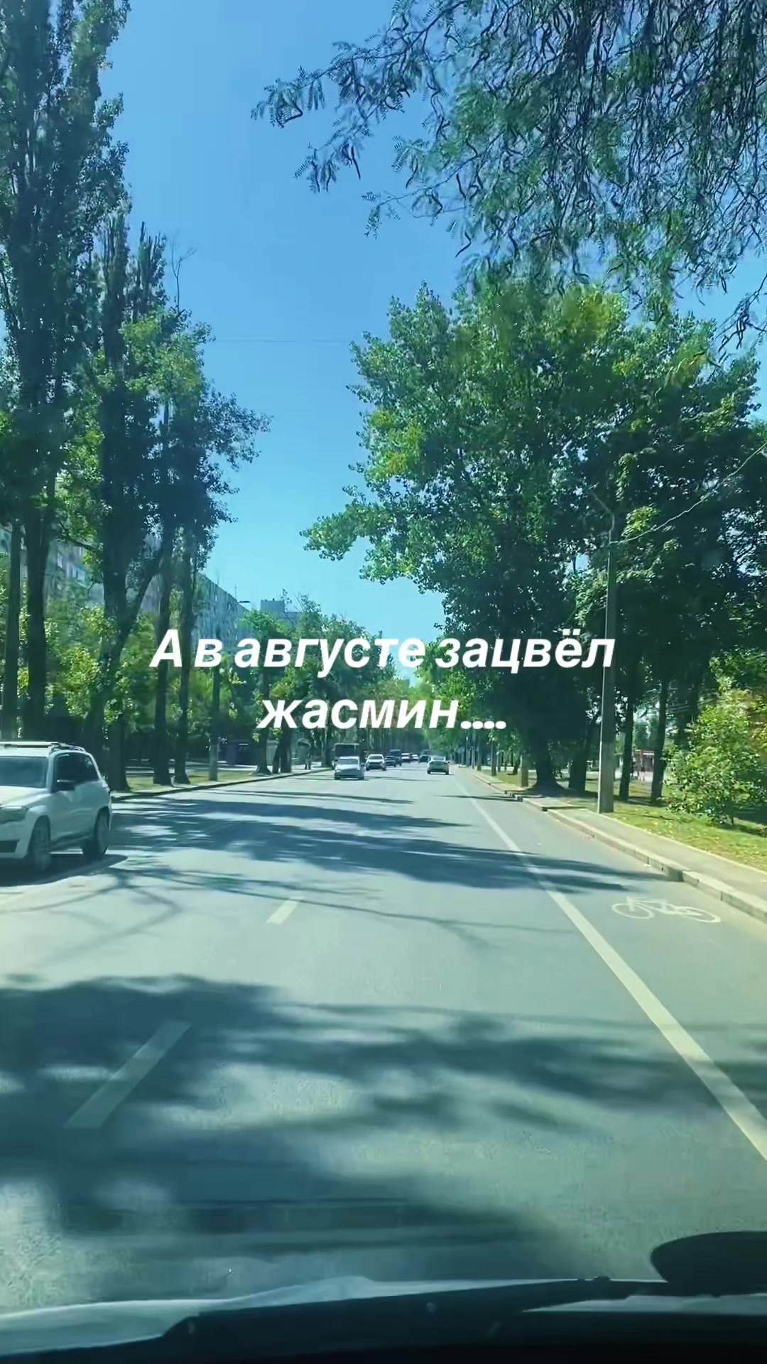 @Саня🇺🇦🌴🌻