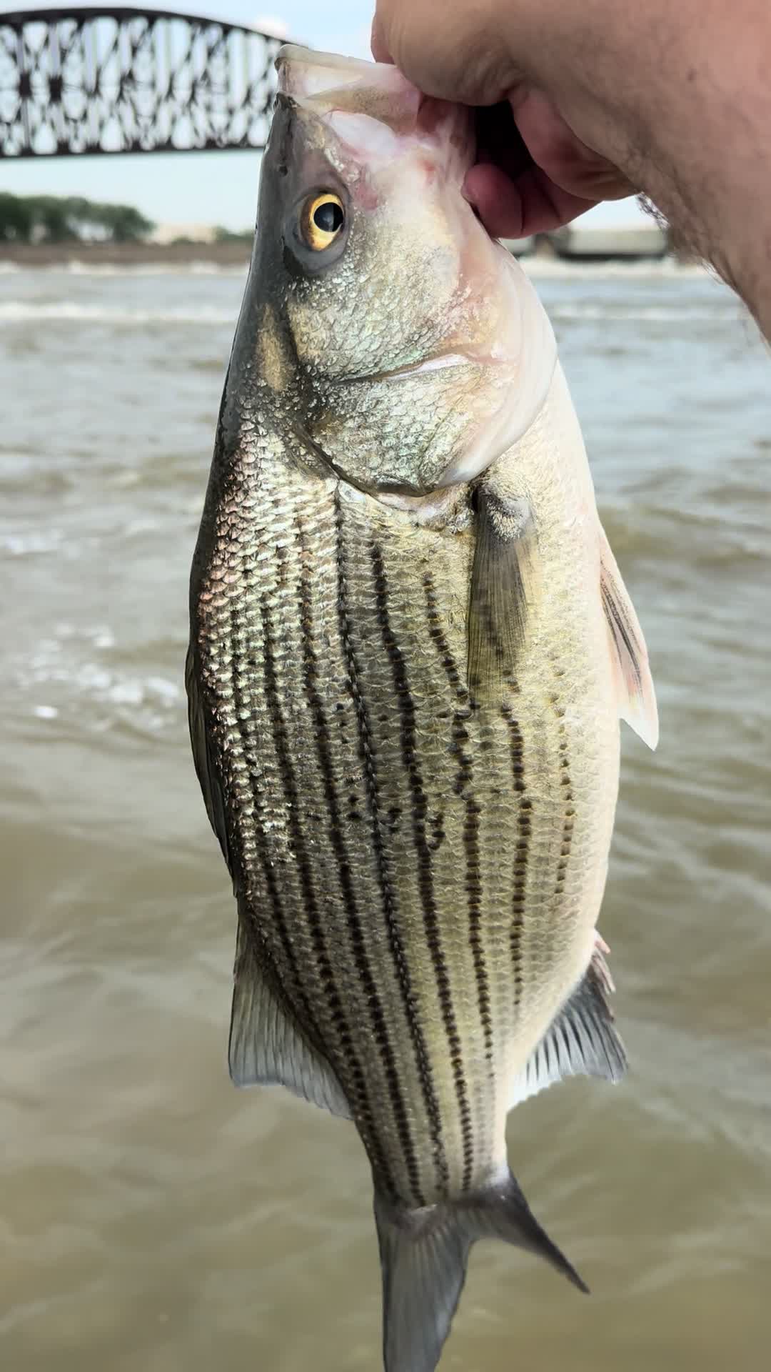 @Kentucky Fishing