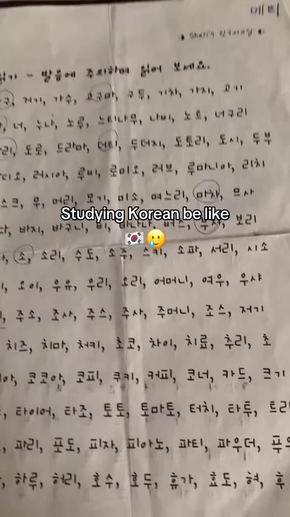 @METI/메티☽̶☾