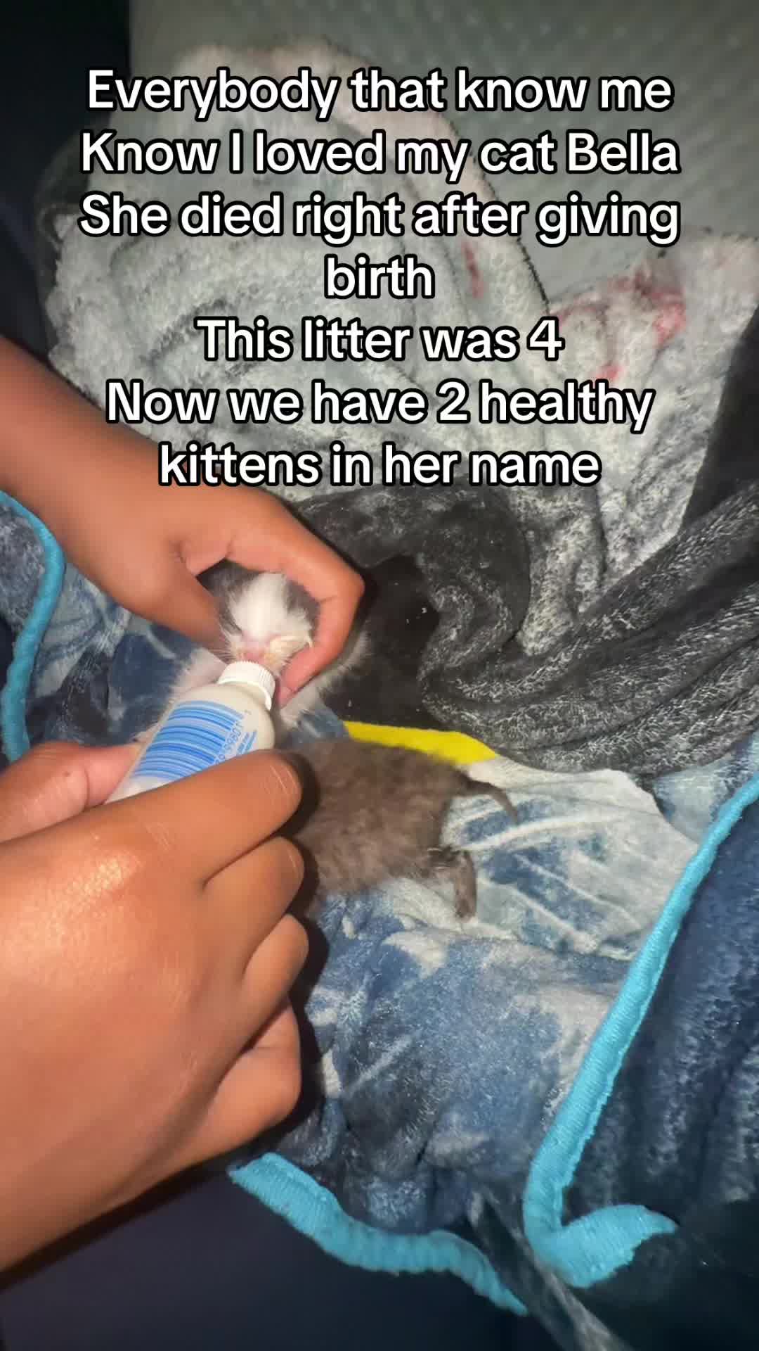@Mscopelandifyounasty