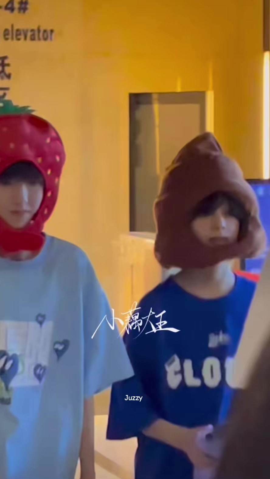 @TF家族-左奇函 ۶۟ৎ