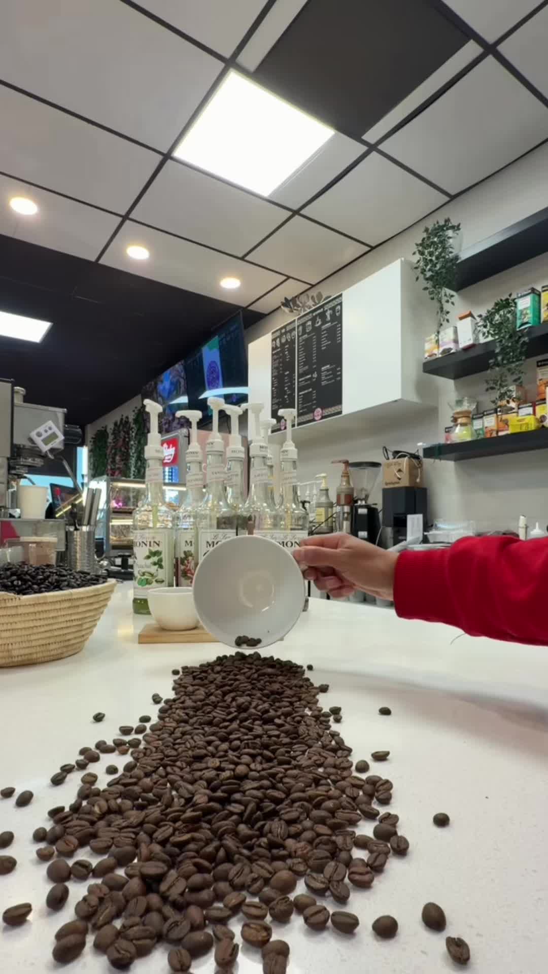 @lucycoffeehouse