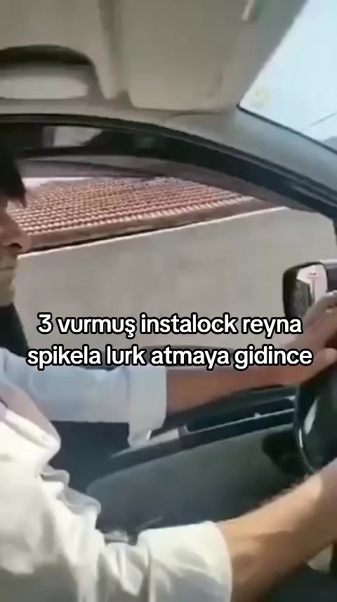 @Esesli VYSE Main
