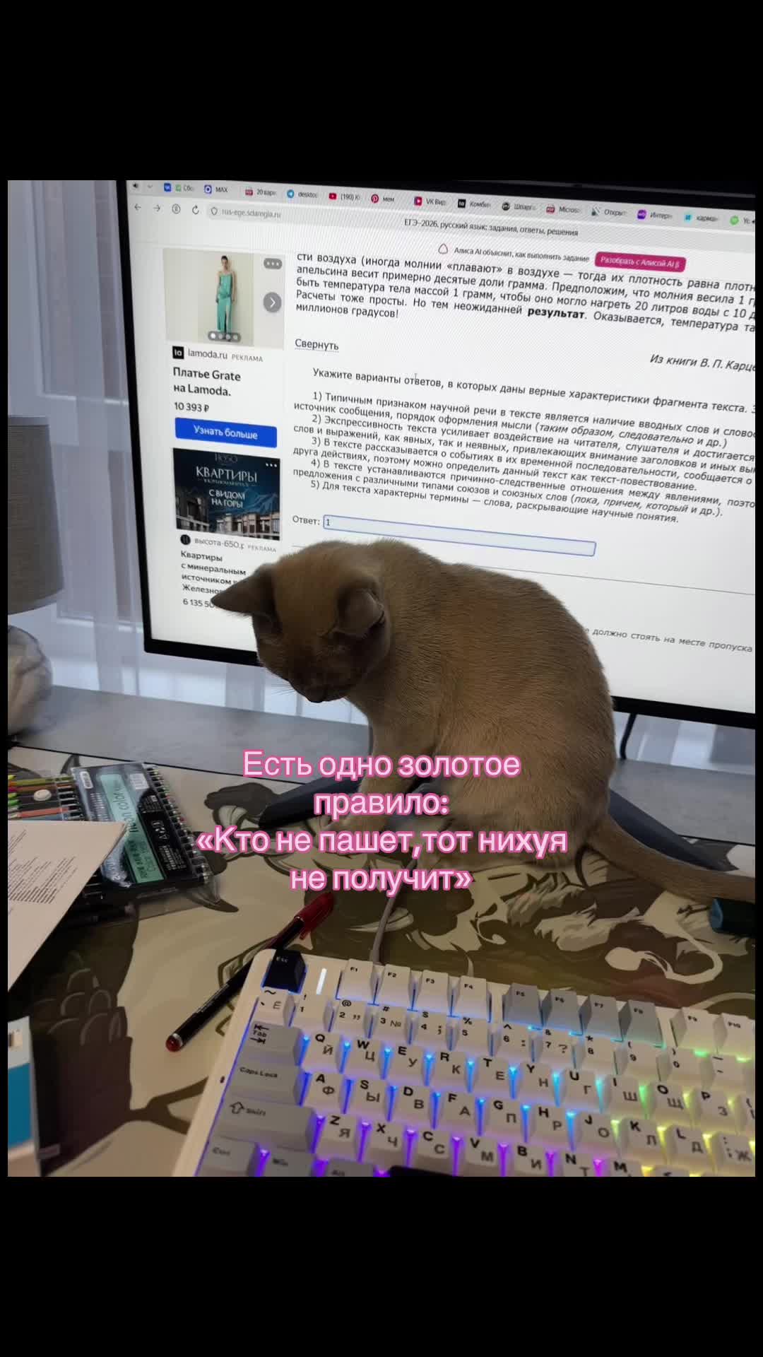 @Сæша
