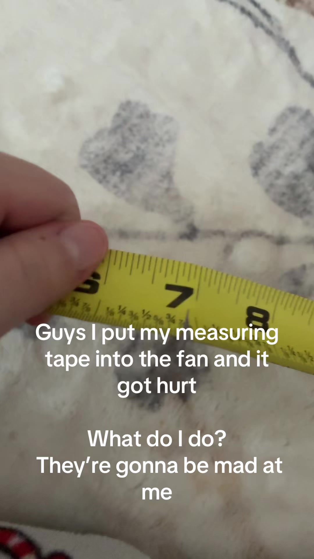 @measuringtape_lover
