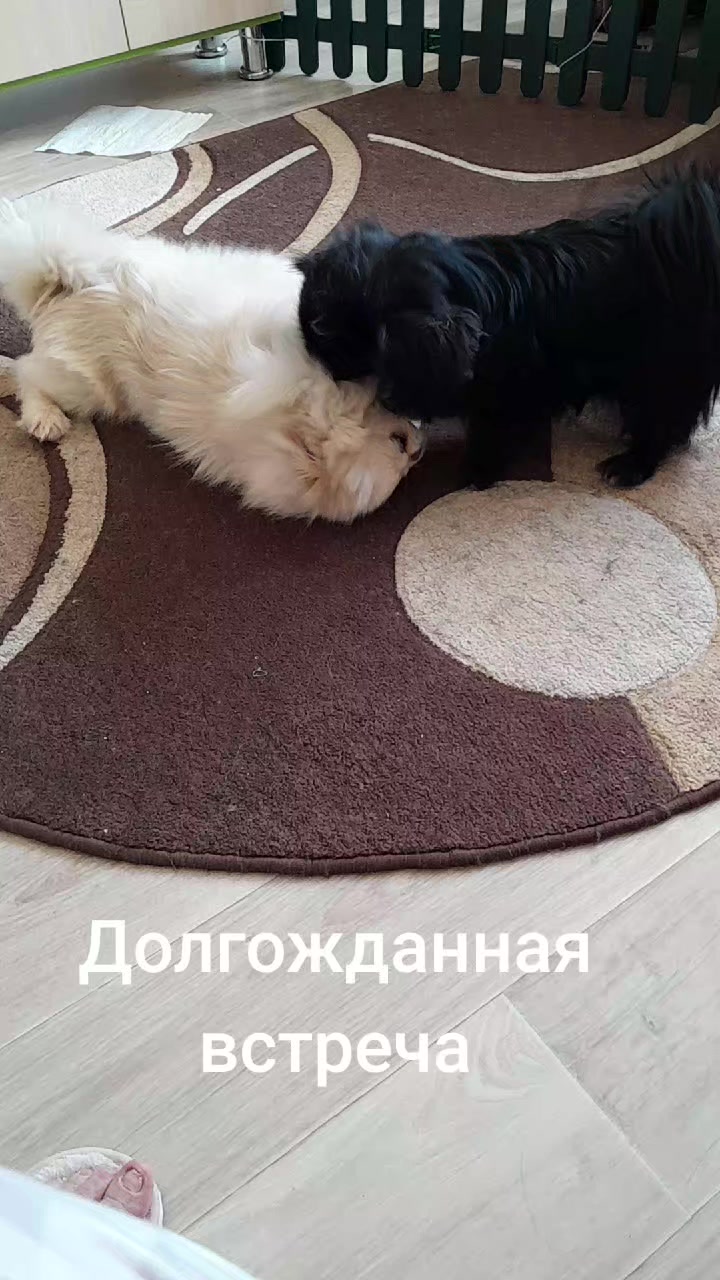 @Жужа