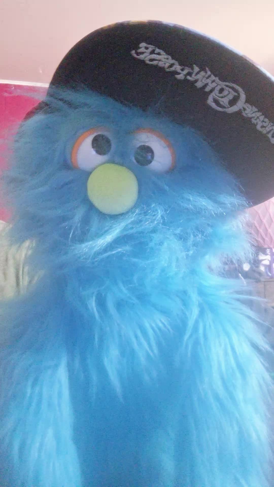 @💙pickelrick/ juggalo Muppet💙