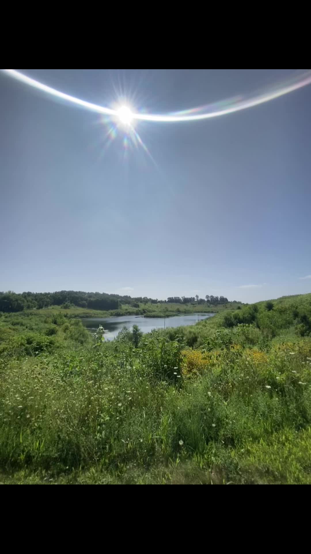 @laconelpelocolorado