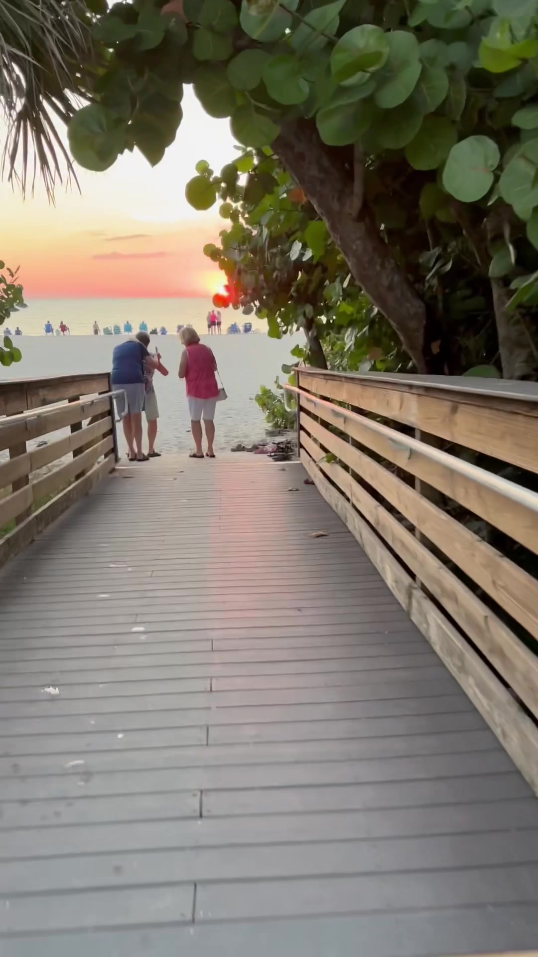 @Sarasota Local Guide 🌊🏝️