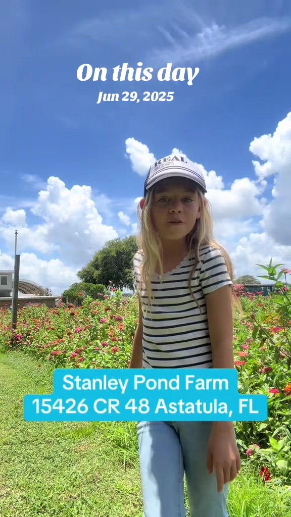 @Shawn at Stanley Pond Farm🌻