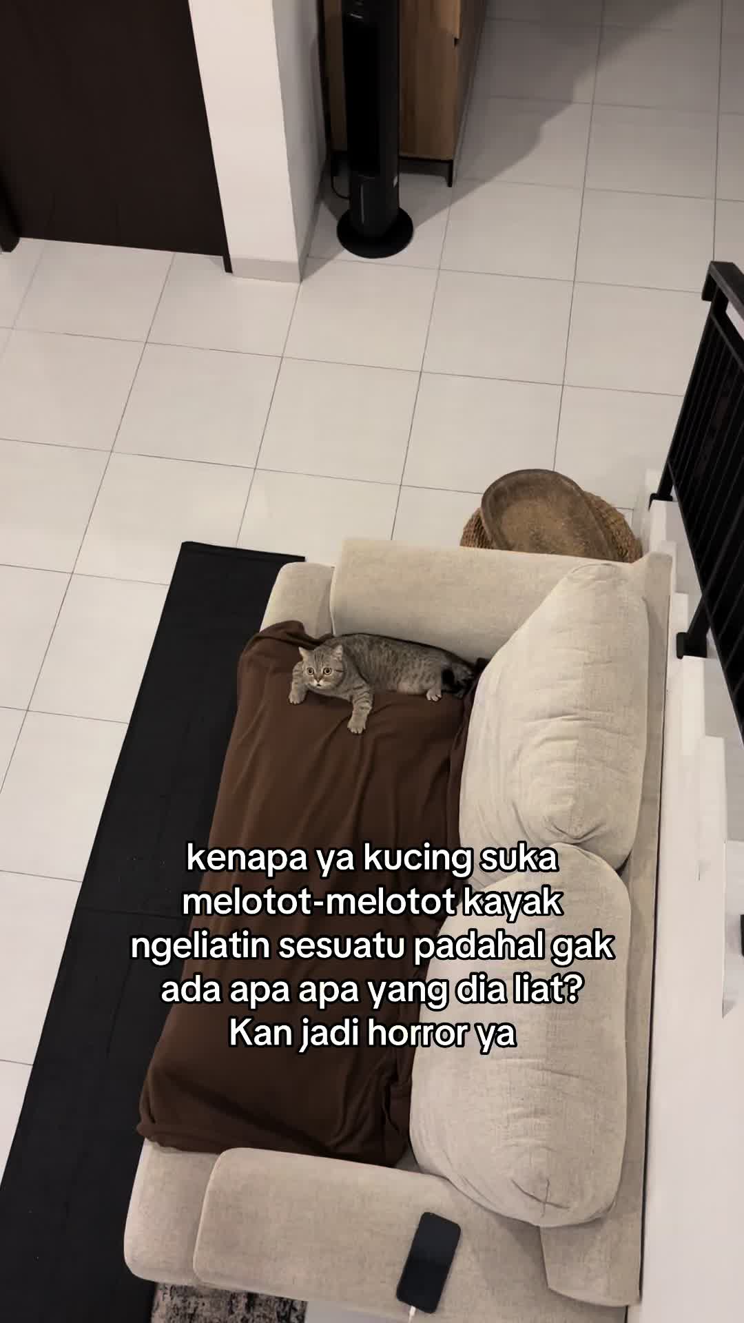 @OxaliStore