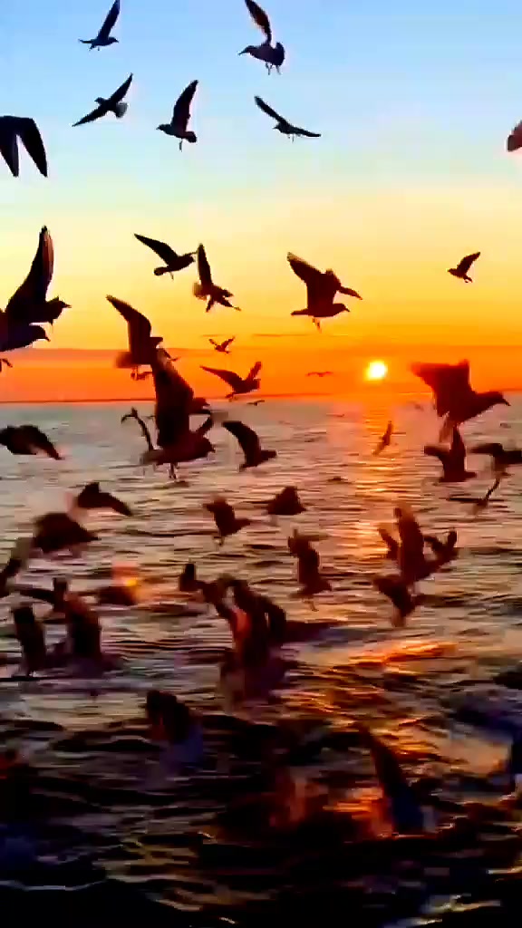 @◦•●◉✿Aylin Çınar✿◉●•◦