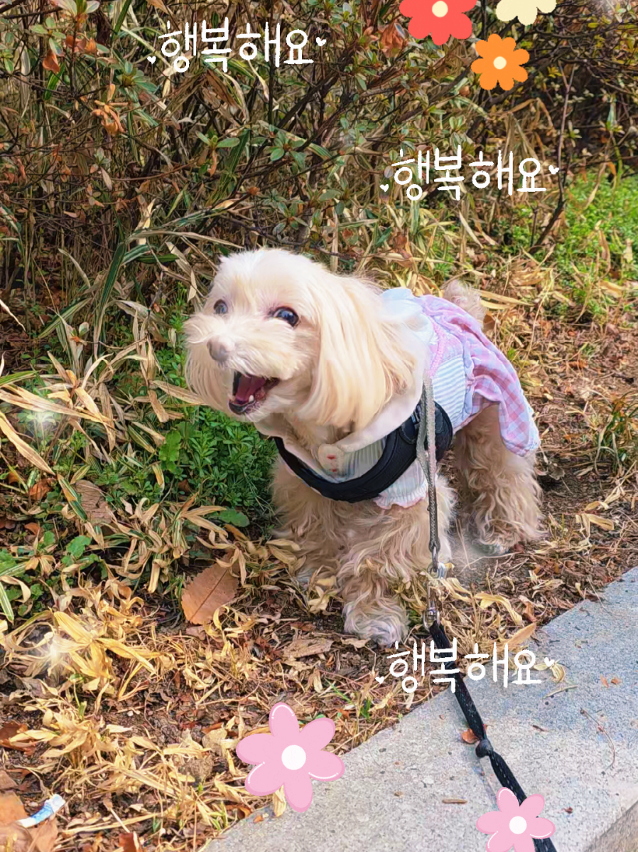 @토리엄마