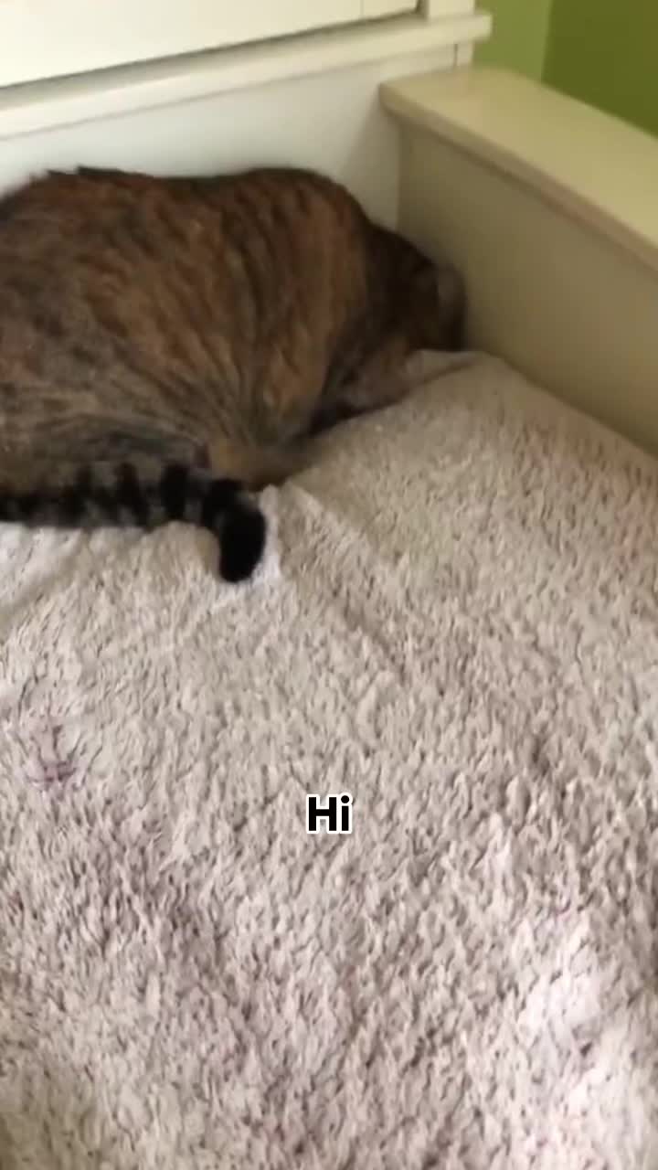 @Mel