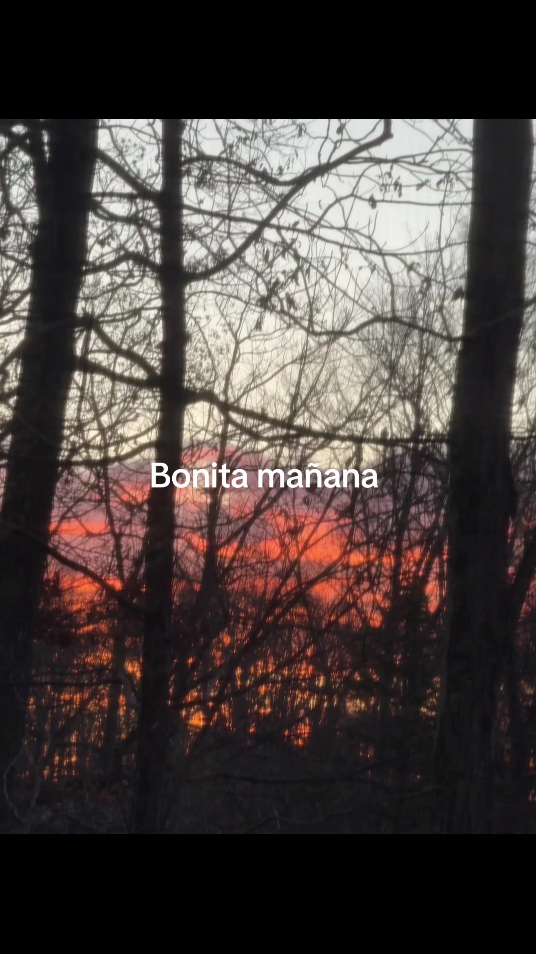 @CCmedina94