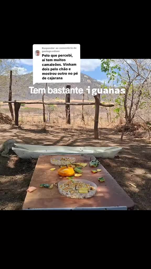 @Amante da natureza