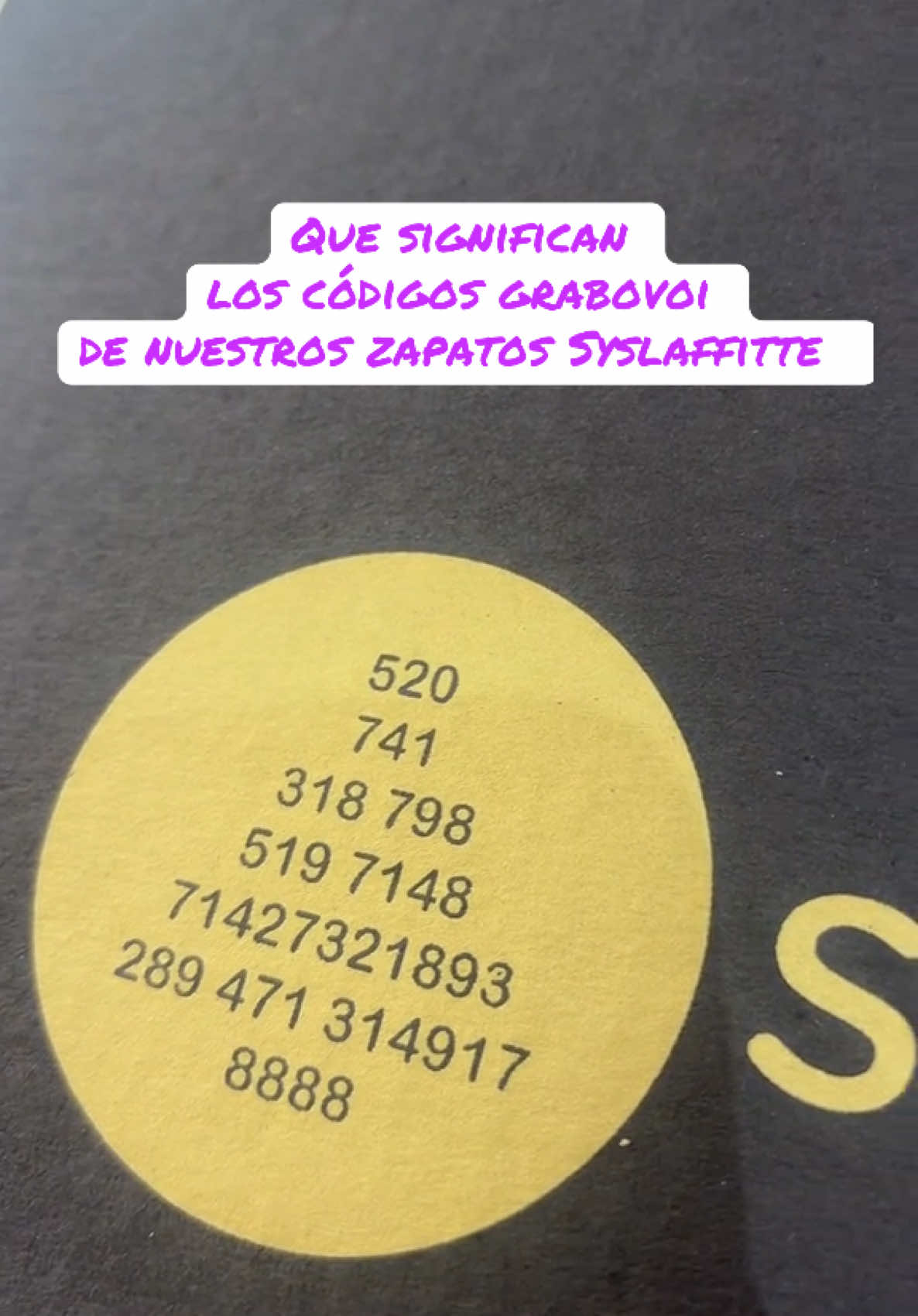 @Zapatos Syslaffitte