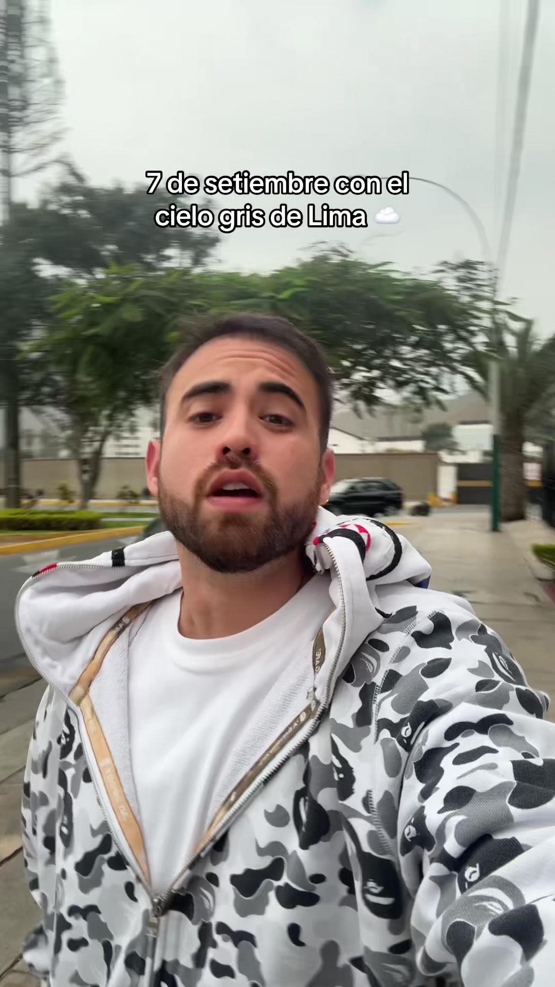 @Cesar Bernales