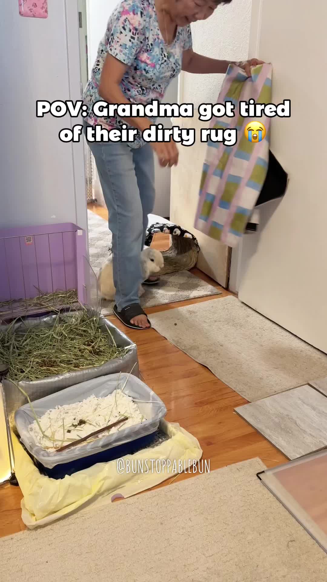 @BunBun, Mochi🌈, Chewy