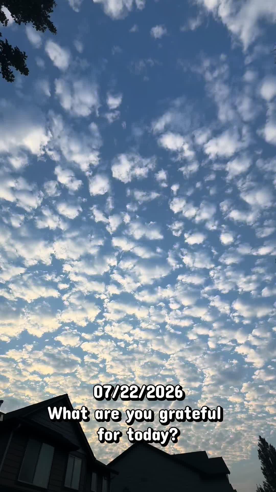 @tkneipp51