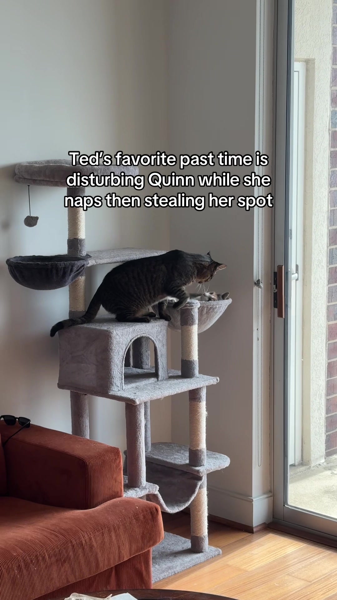 @Quinn The Calico