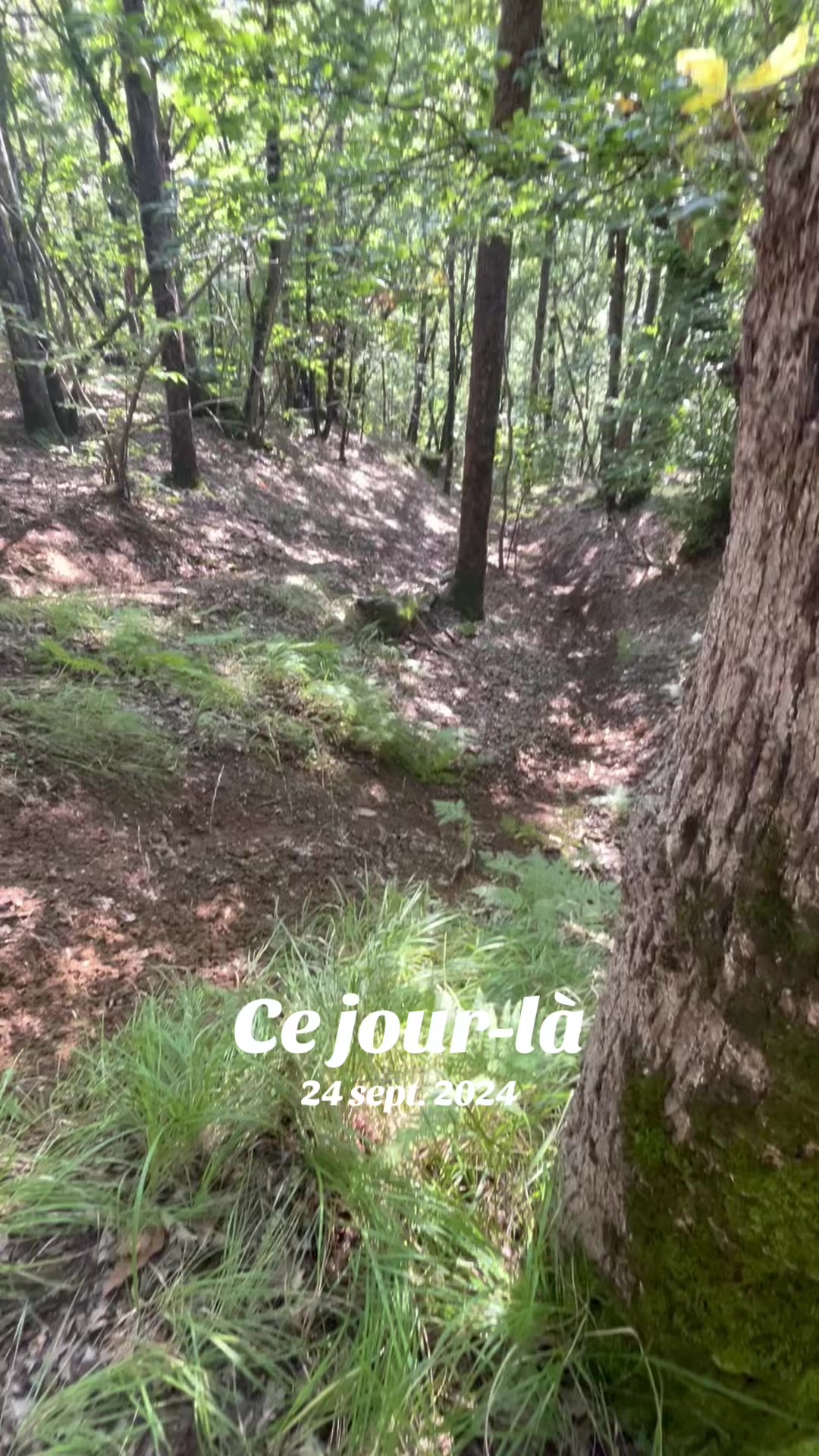 @Hard Enduro Auvergne