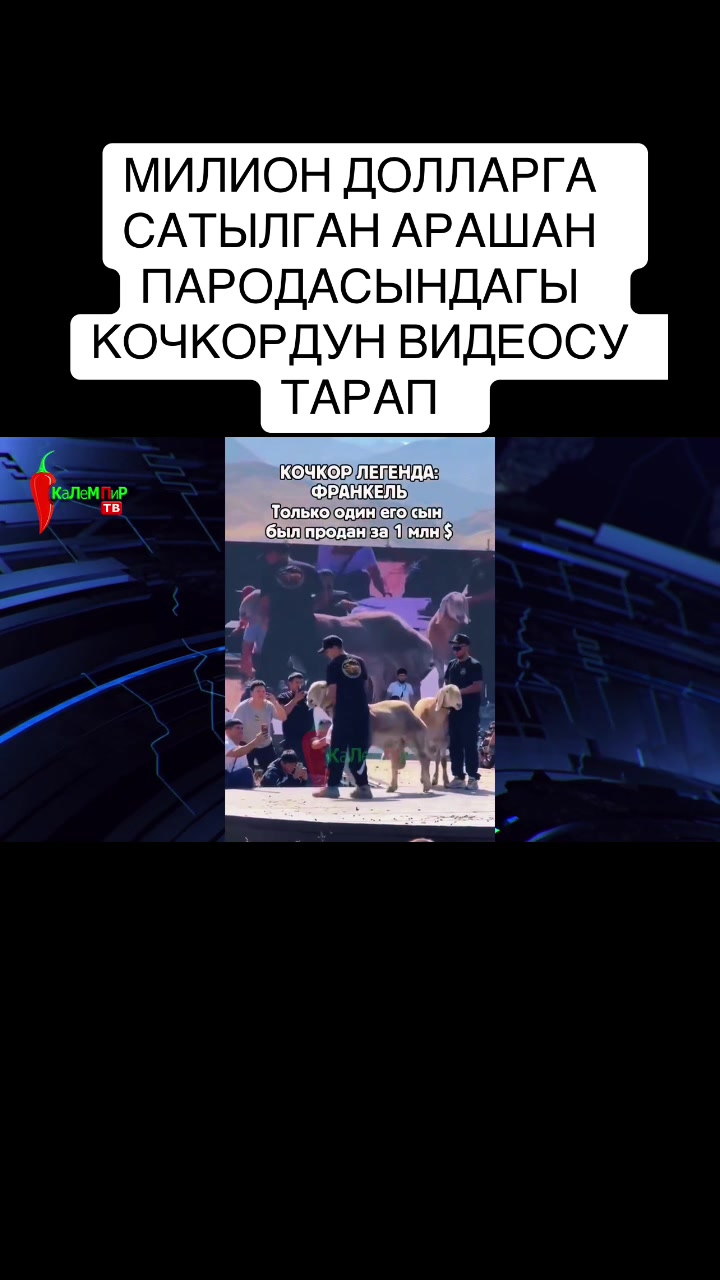 @BEKBOTO
