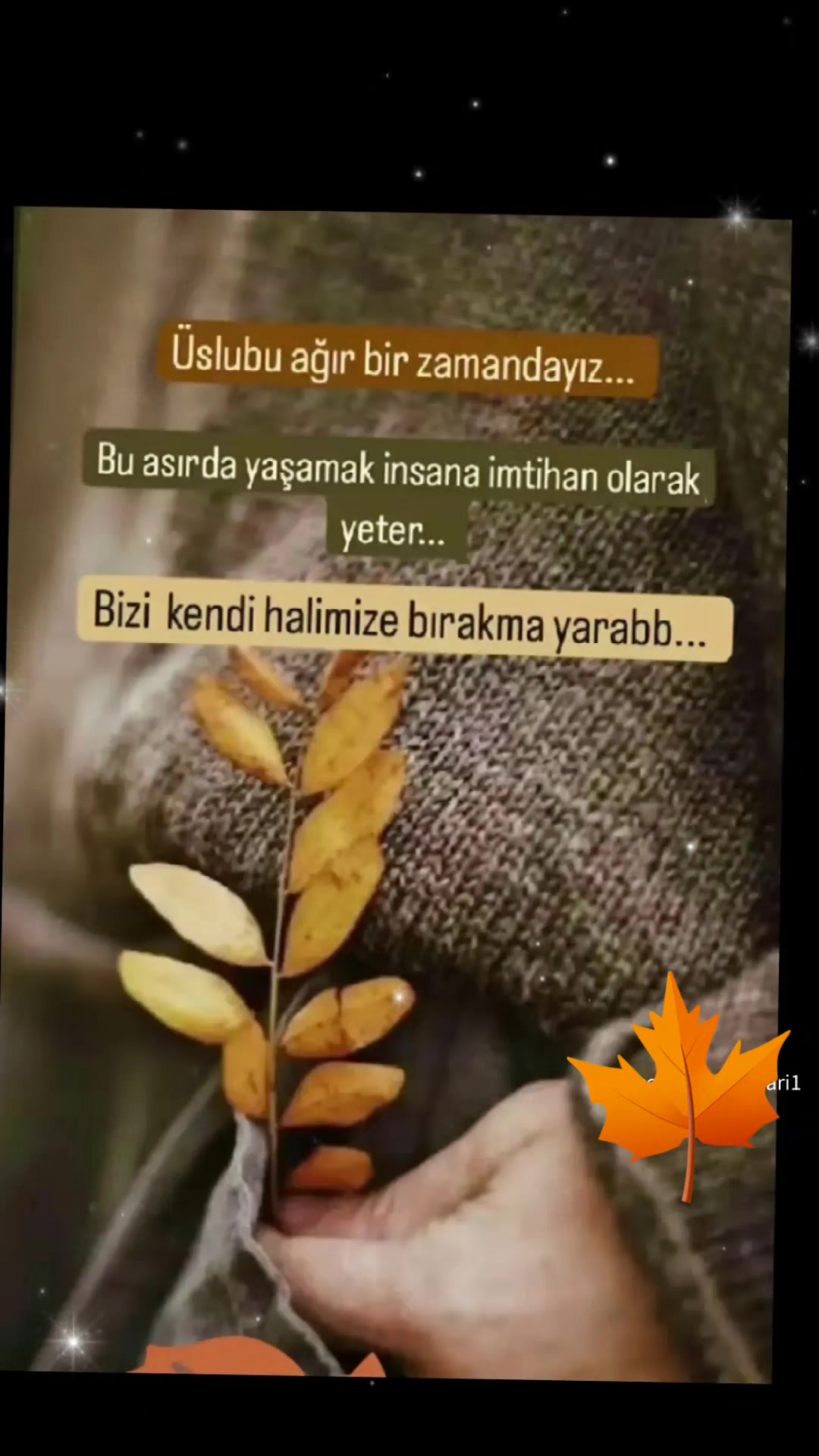 @AHDE☝️VEFA🕊🌹