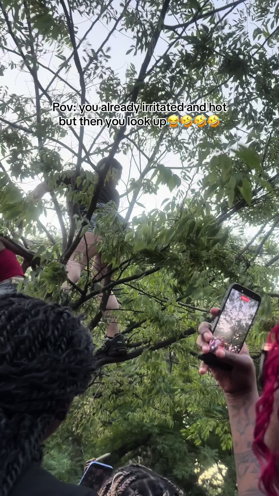@flyestmonarch