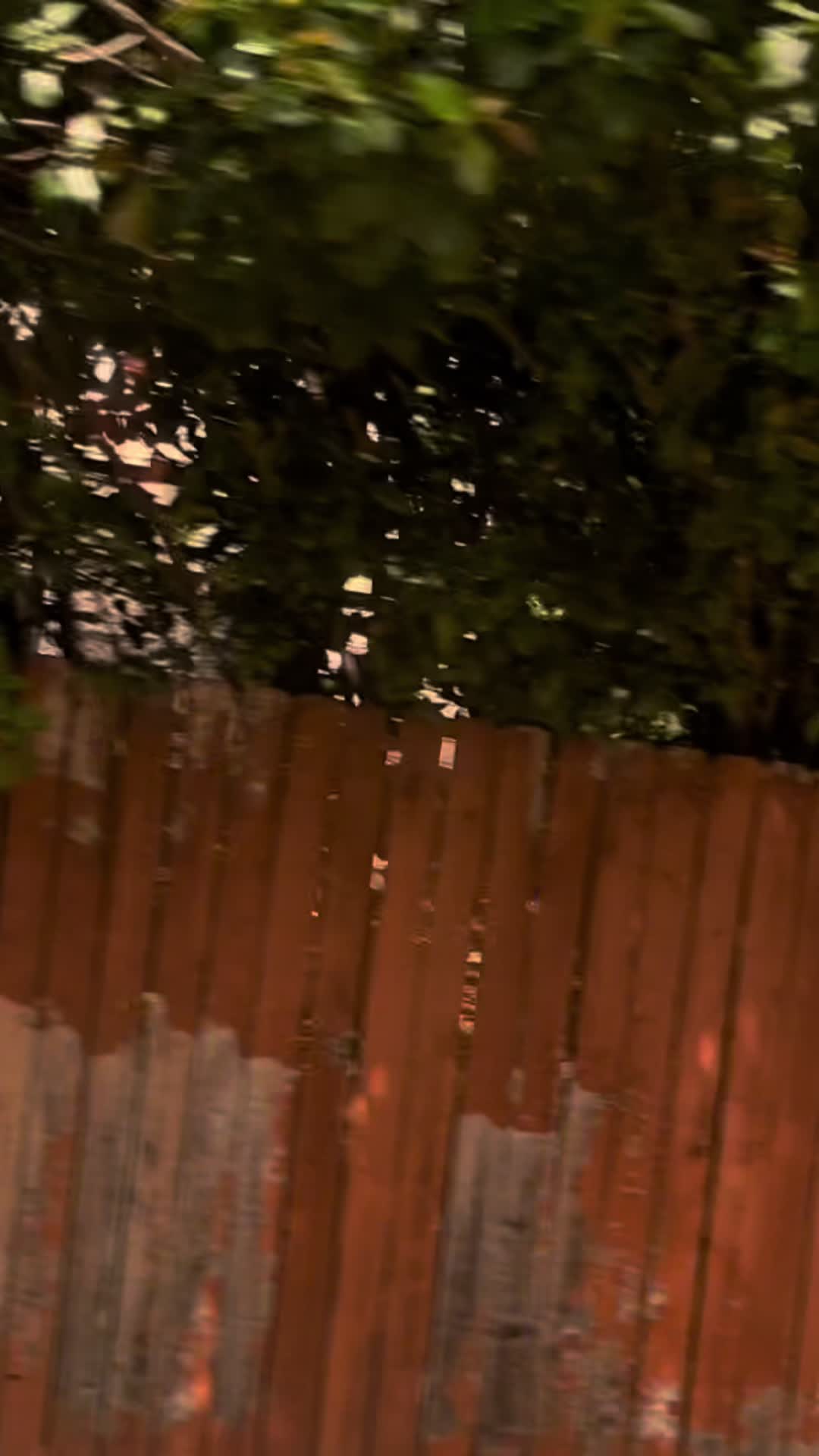 @დ .•*””*• 🧪⚙️ •*””*•.დ