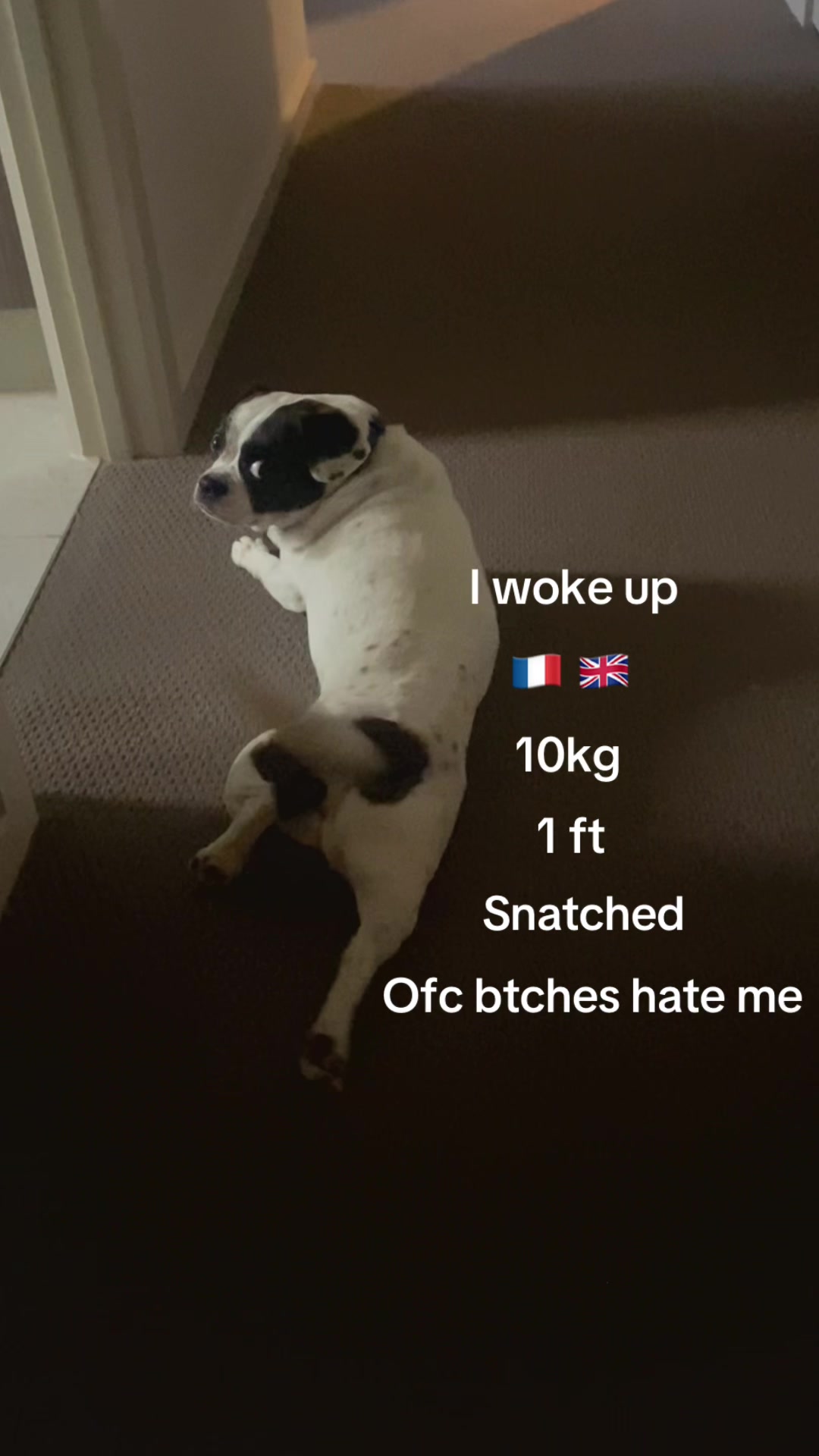 @fart