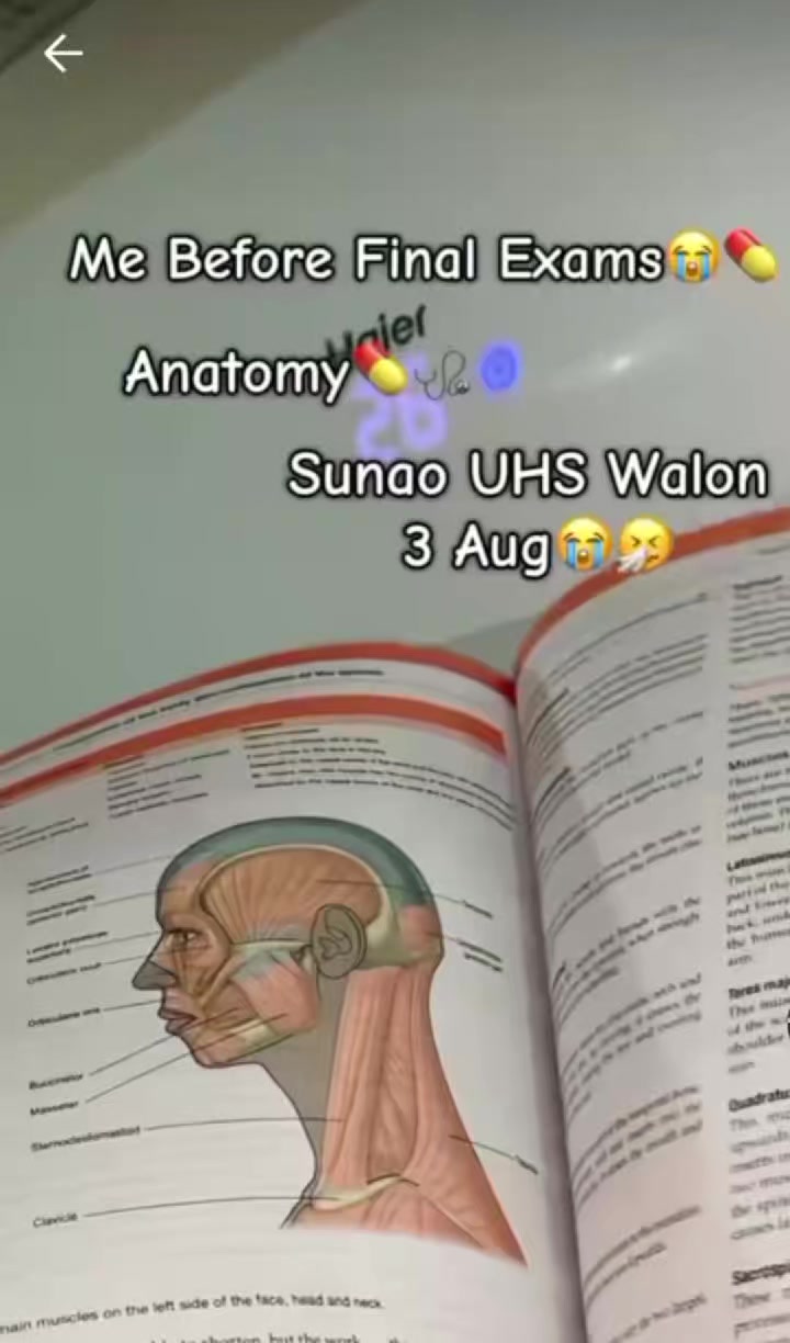 @BSN-Girl 🥼🧑&zwj;⚕️🩺