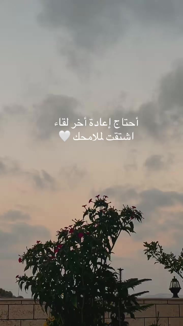 @fatima_h_harb