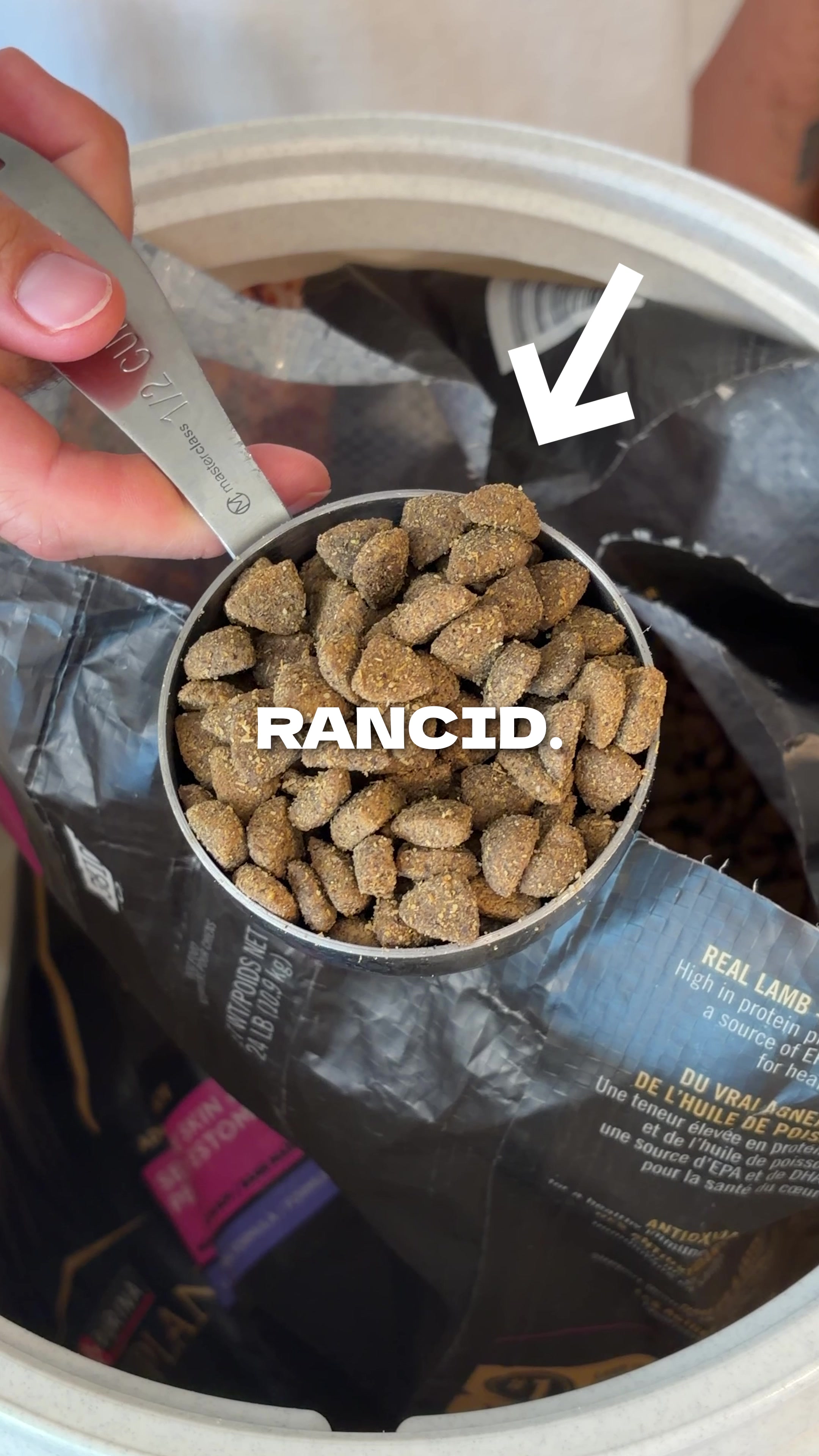 @The BK Pets - Dog Food Tips