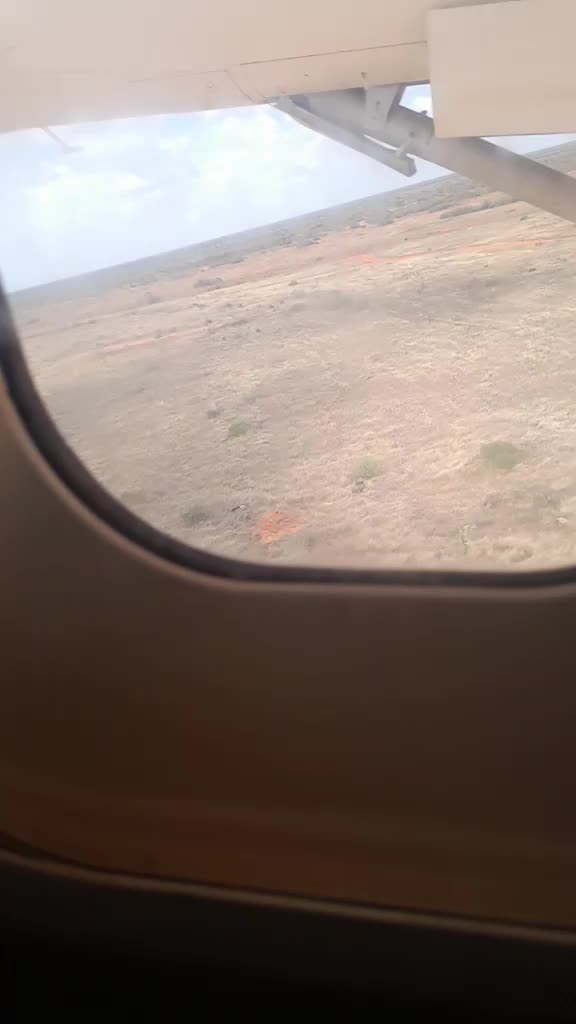 @umu nimco