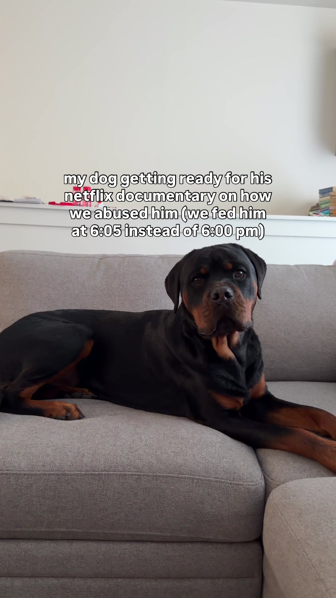 @Rex the Rottweiler