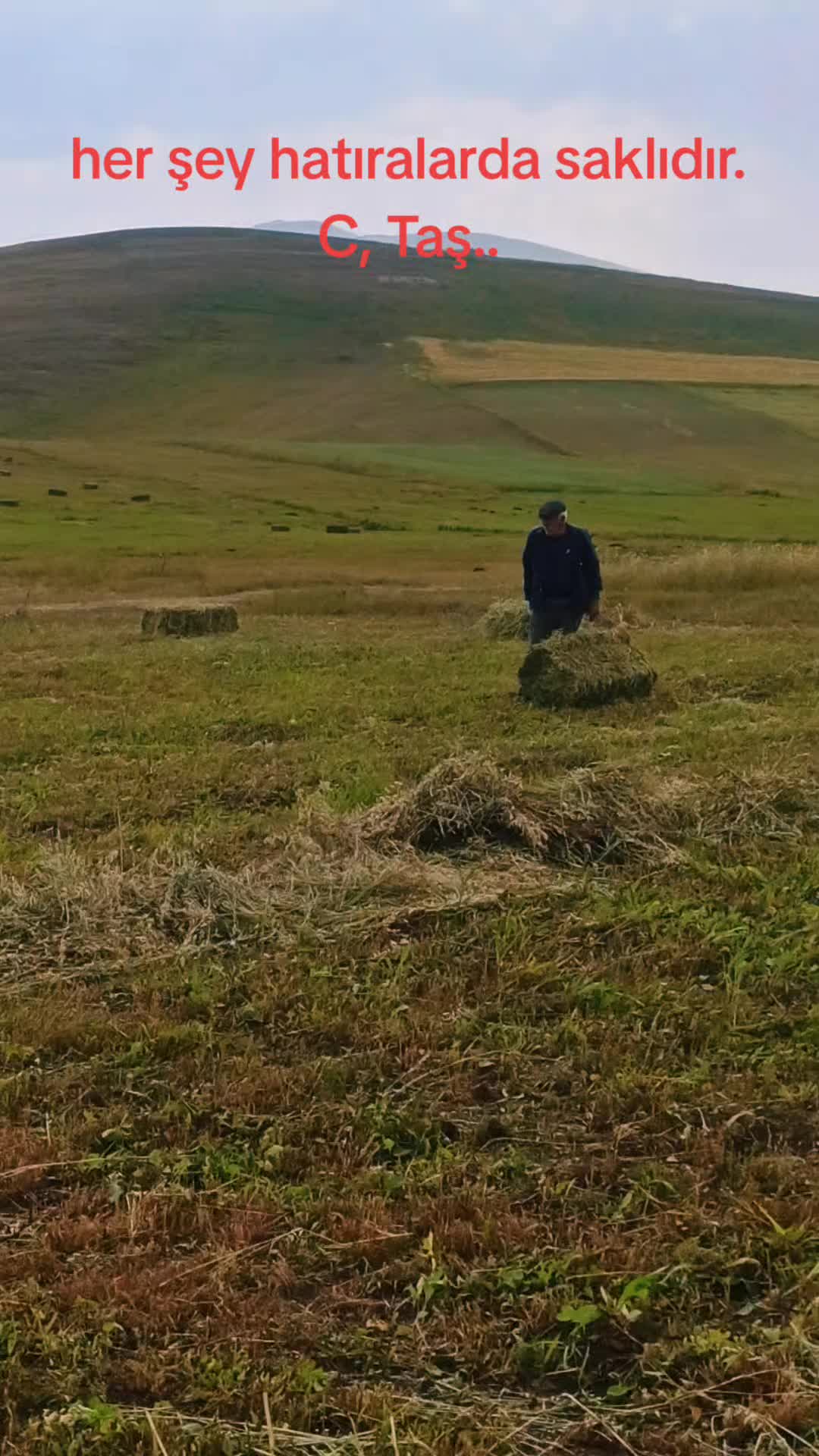 @Cengiz Taş