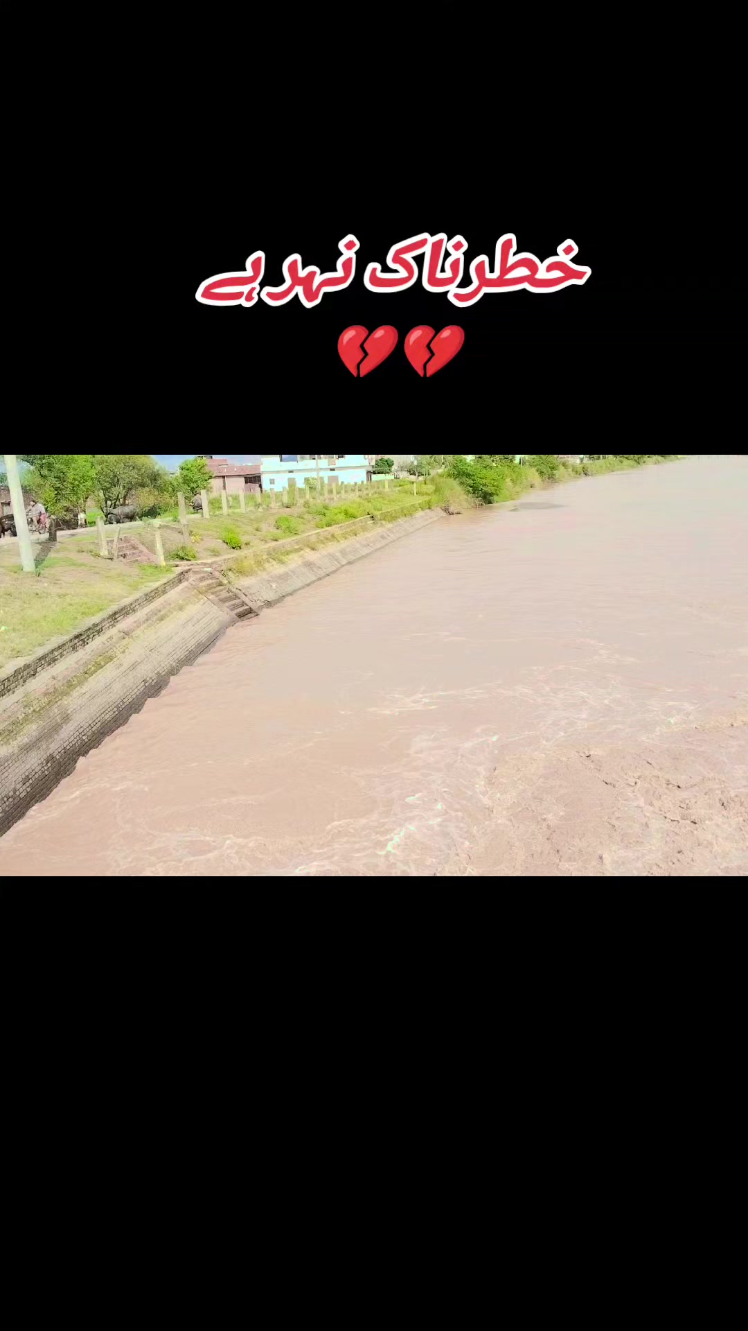 @Noor Pare 🥰🥰